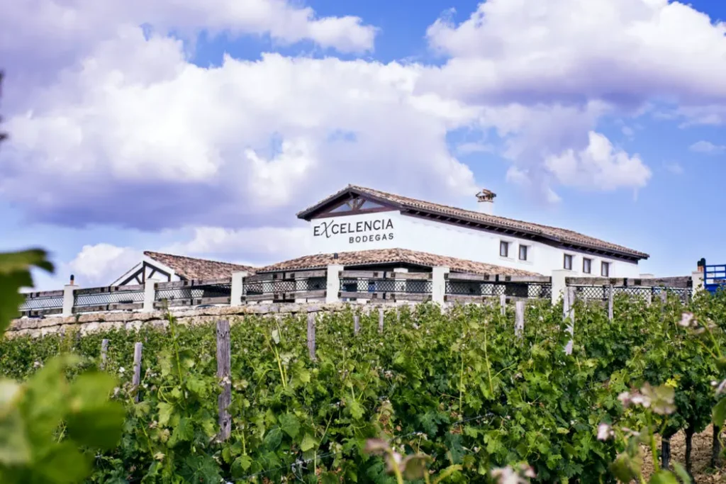 bodegas excelencia ronda photo