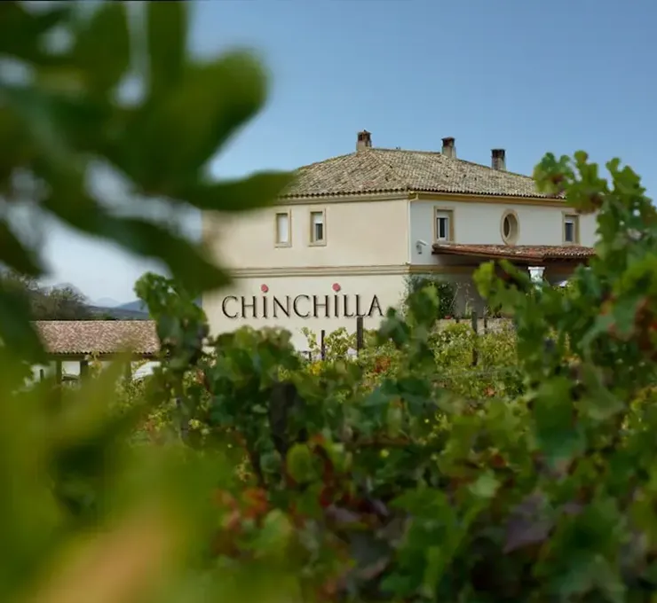 Bodega Doña Felisa in Ronda, Spain