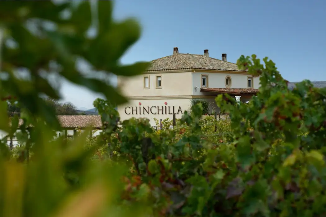 Winery Doña Felisa Chinchilla in Ronda