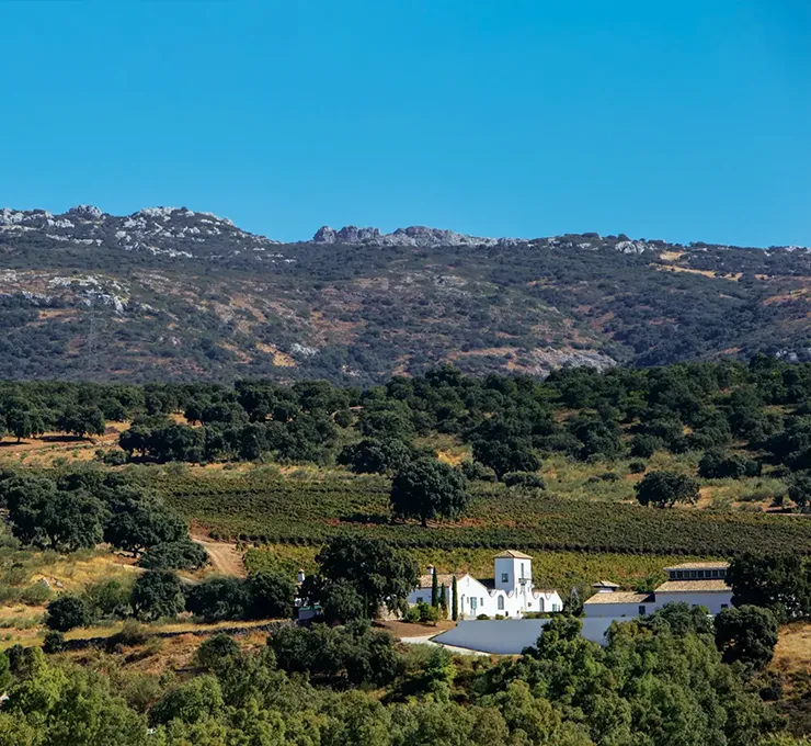Cortijo Los Aguilares Winery in Ronda, Spain