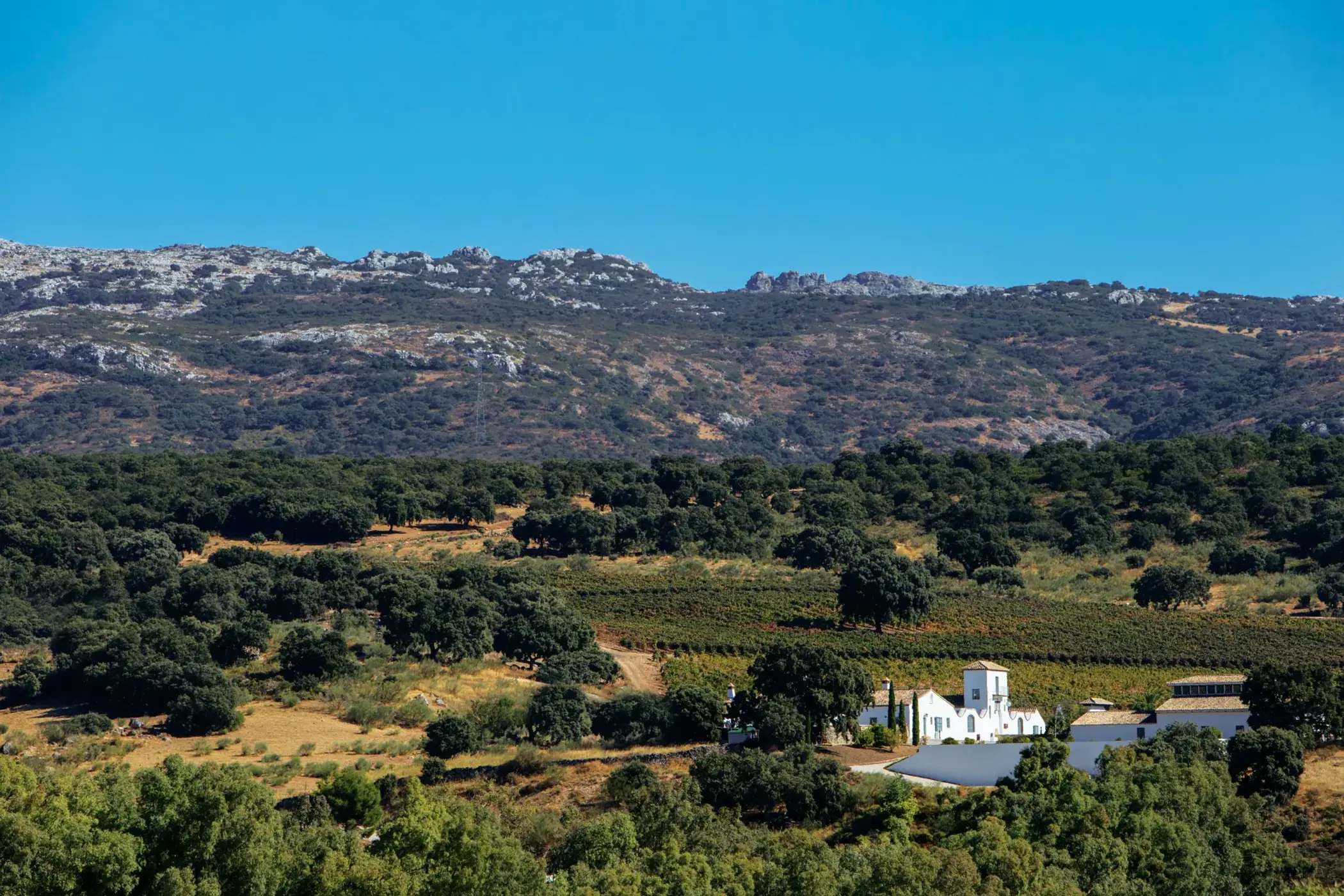 A photo of the Winery Cortijo Los Aguilares in Ronda