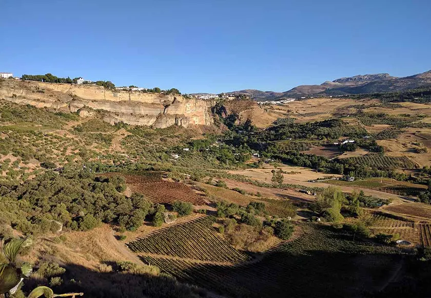 Descalzos Viejos winery in Ronda