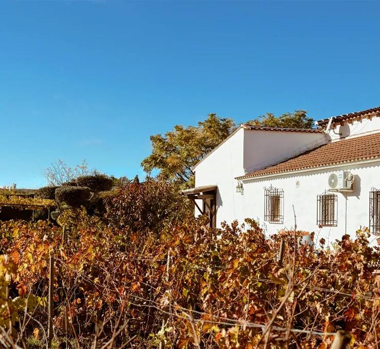 Bodega Vetas in Ronda, Spain