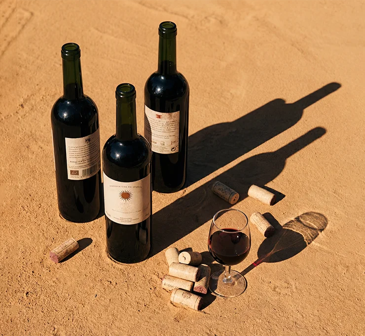 Three Spanish wine bottles on a warm sandy surface