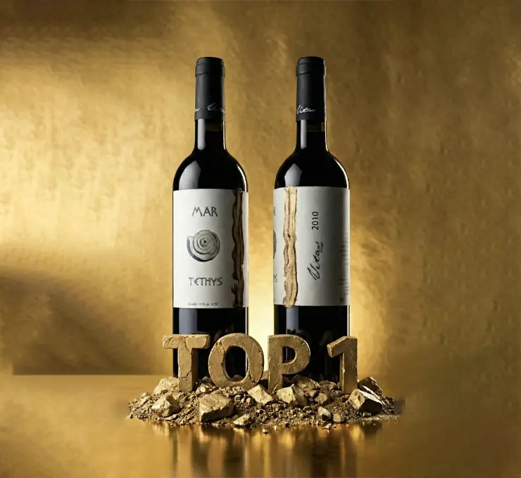 Vetas Mar de Tethys 2010 Top 1 Magnum in Spain