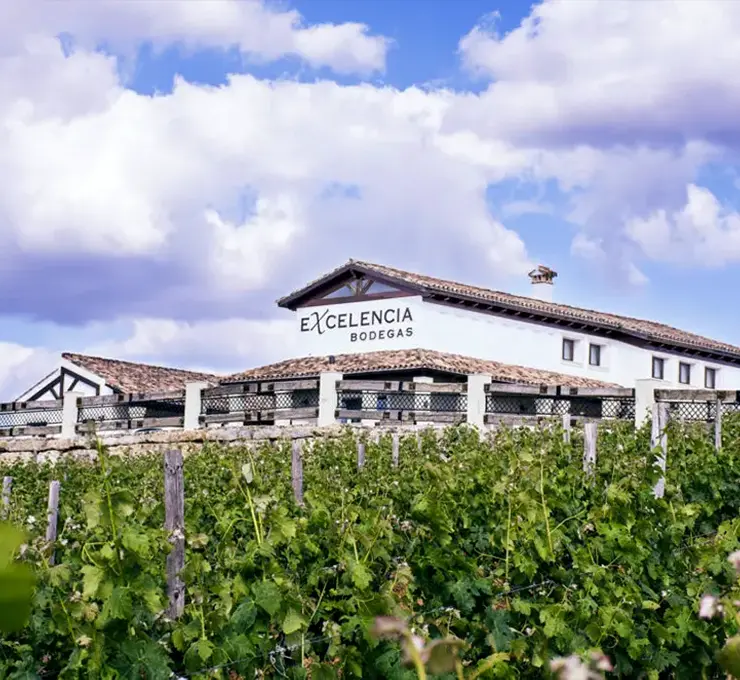 Bodegas Excelencia winery in Ronda